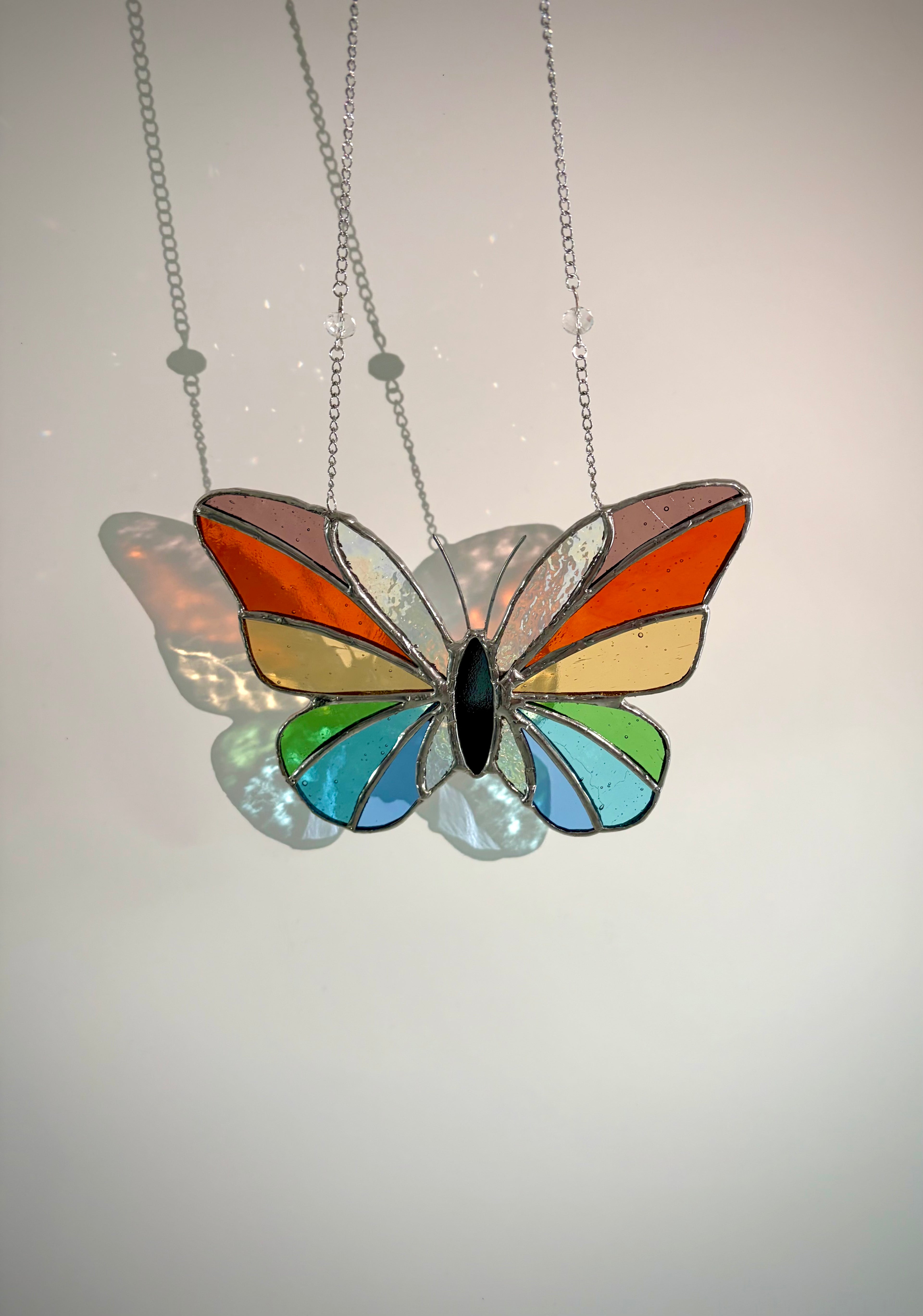 Regenboog Vlinder
