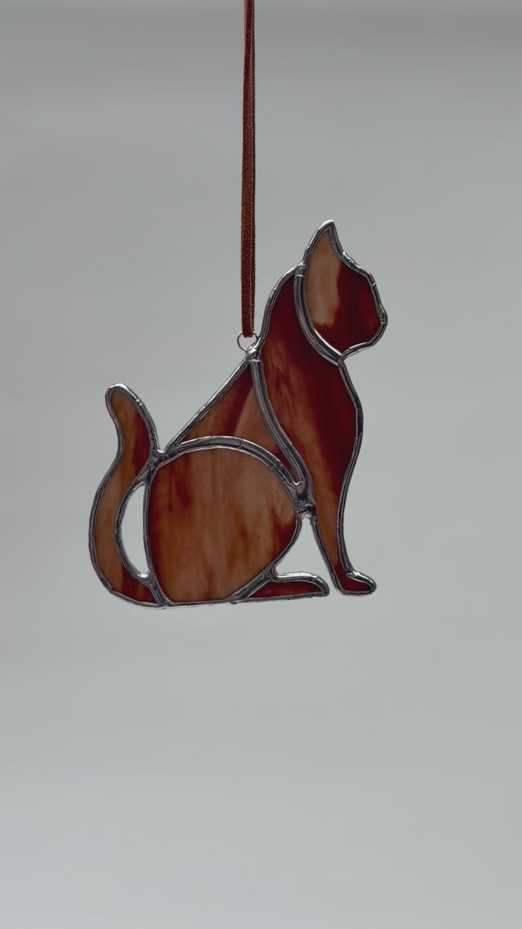 Kat - Bruin