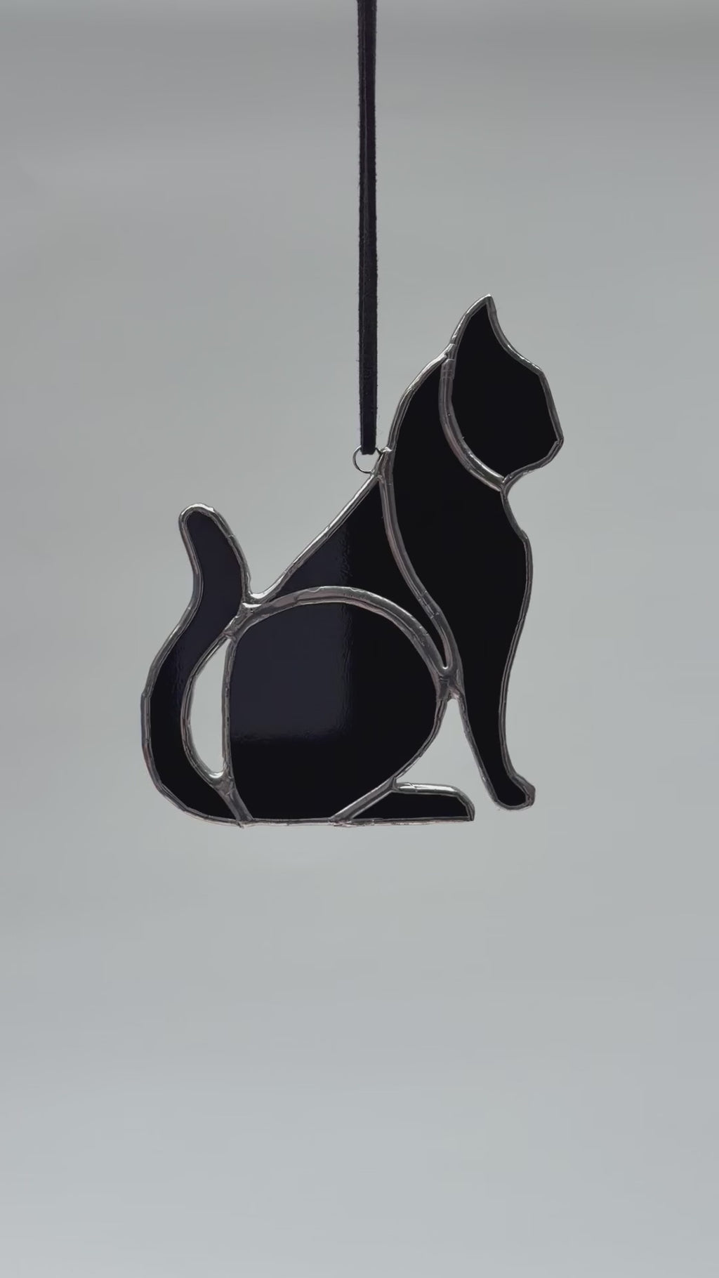 Kat - Zwart